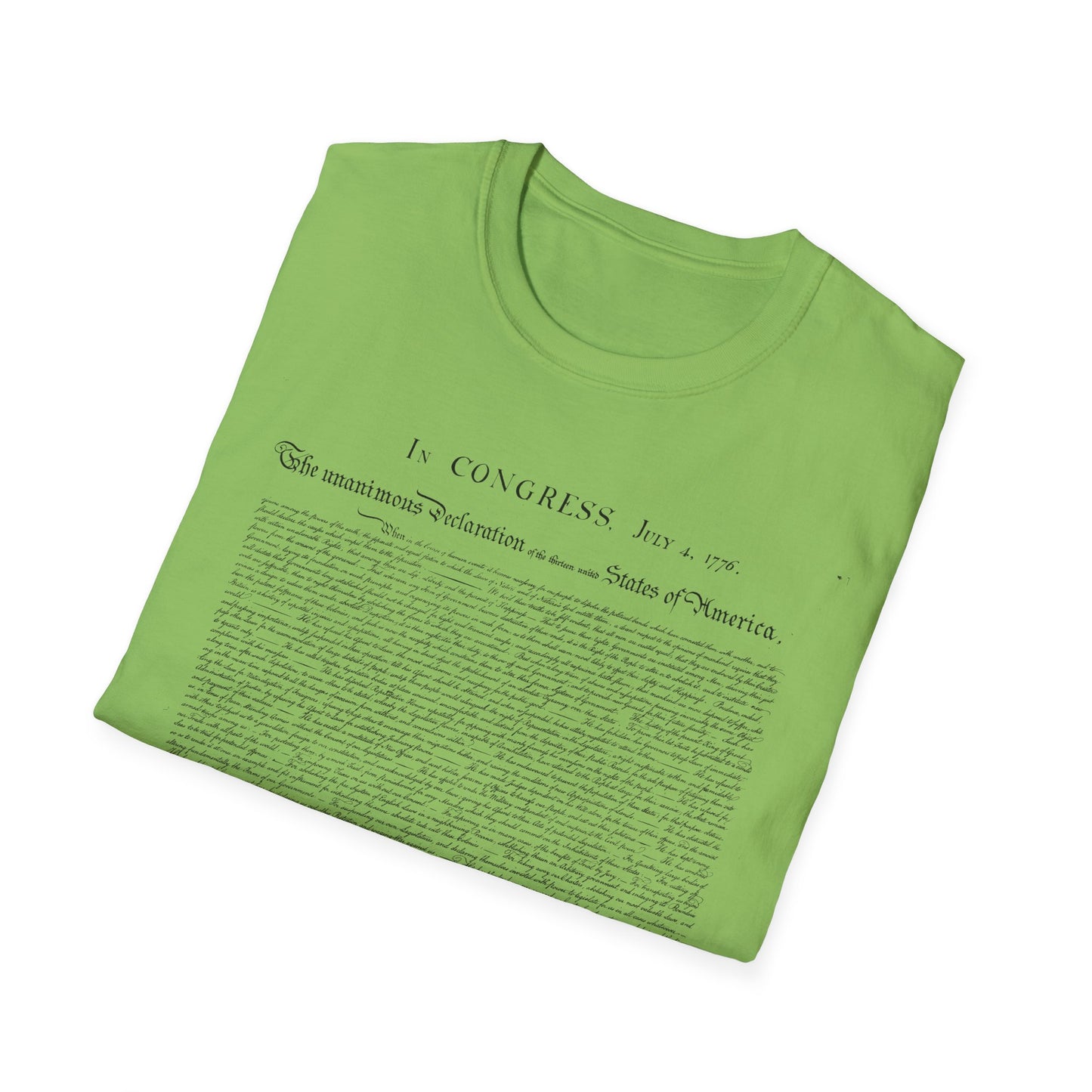 Declaration of Independence  Unisex Softstyle T-Shirt