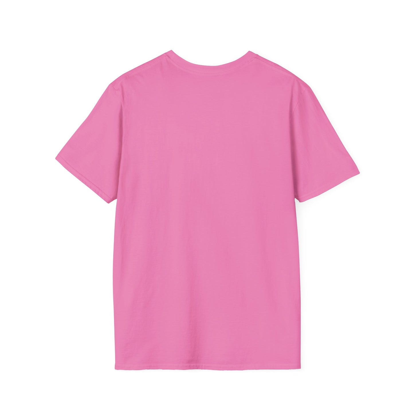 Nice List Softstyle T-Shirt