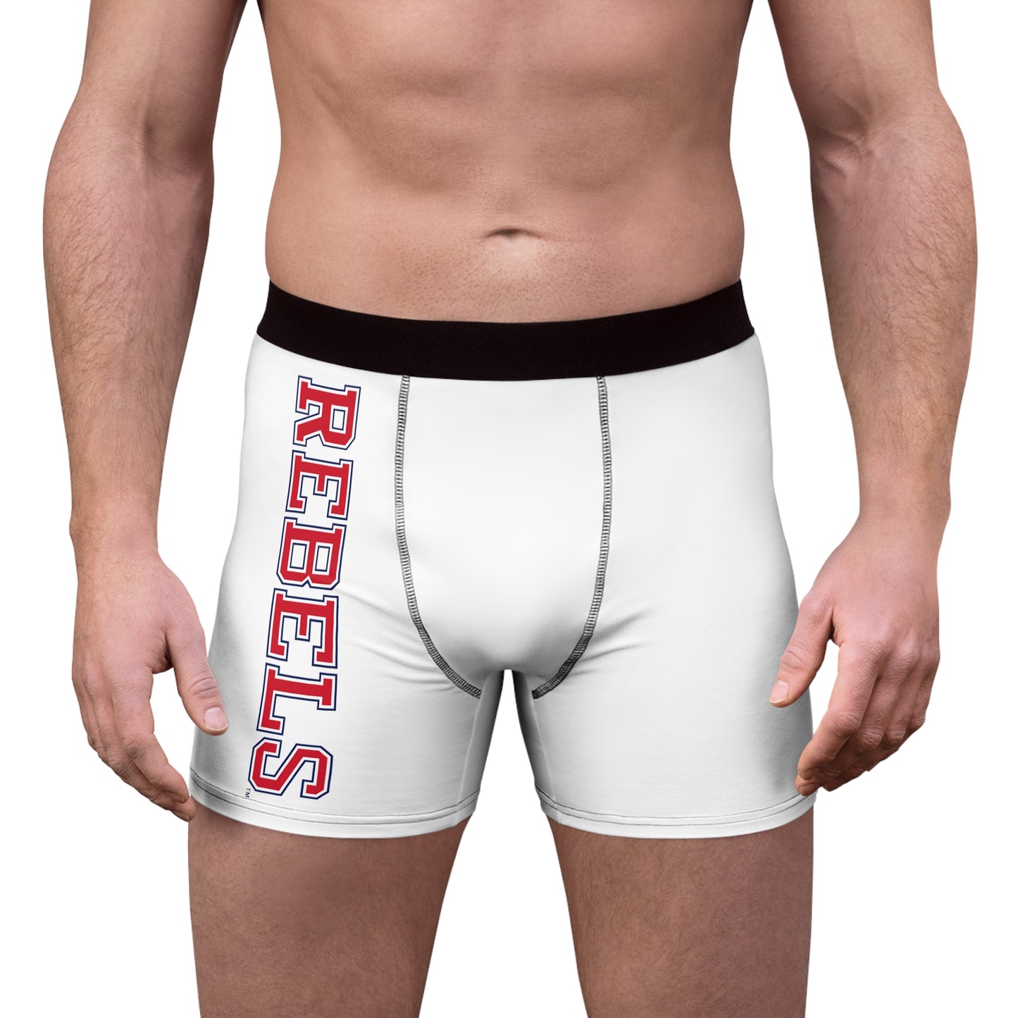 Men's Boxer Briefs (AOP)