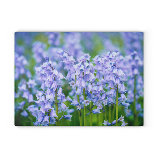 Spanish bluebell Glass Cutting Board